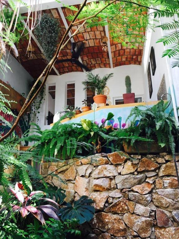 Palapa Chili # Villa Sayulita Dış mekan fotoğraf
