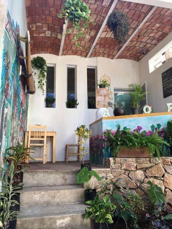 Palapa Chili # Villa Sayulita Dış mekan fotoğraf