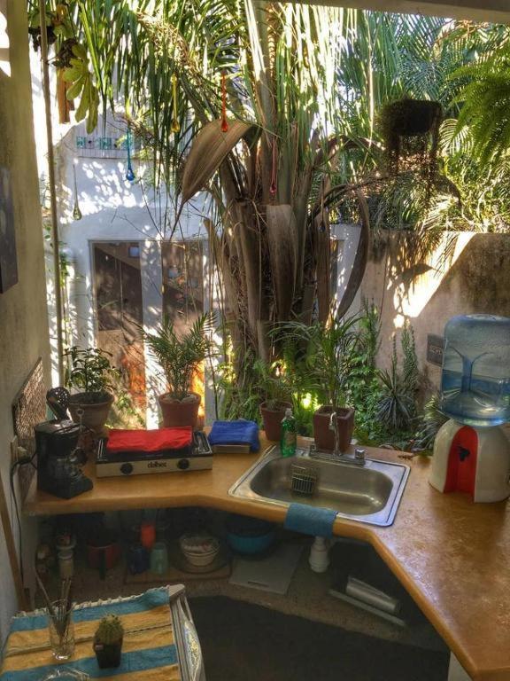 Palapa Chili # Villa Sayulita Dış mekan fotoğraf
