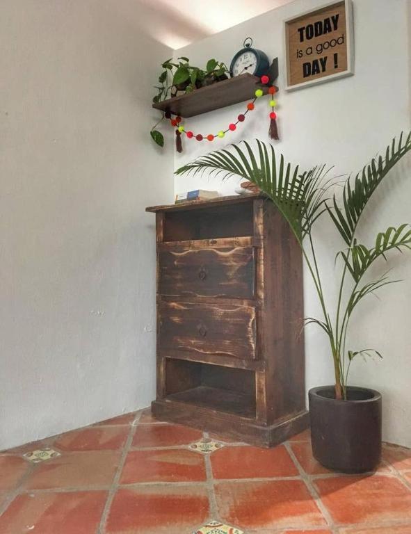 Palapa Chili # Villa Sayulita Dış mekan fotoğraf